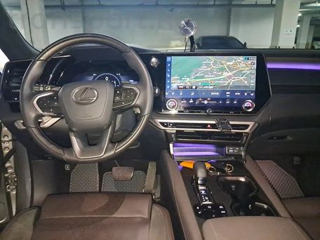 Lexus RX, 2025 — photo 12