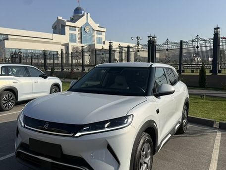 BYD Yuan Up, 2025 — photo 1