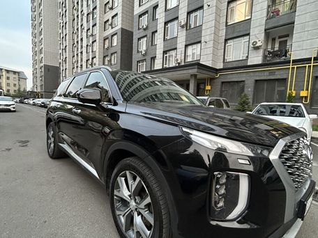 Hyundai Palisade, 2020 — 照片 10