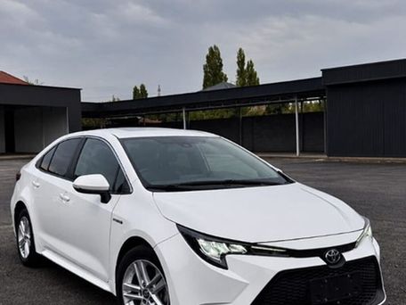 Toyota Levin, 2021 — сүрөт 1