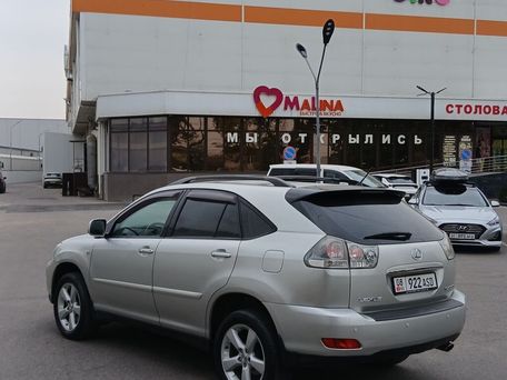 Lexus RX, 2007 — 照片 3