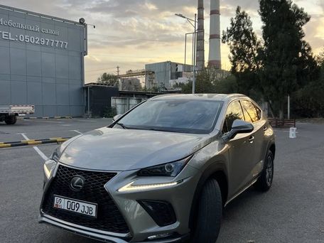 Lexus NX, 2018 — 照片 2