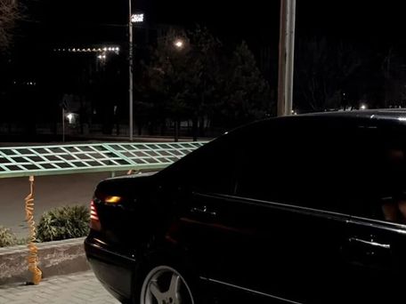 Mercedes-Benz S-Класс, 2003 — 照片 10