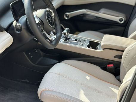 BYD Yuan Plus, 2024 — photo 14