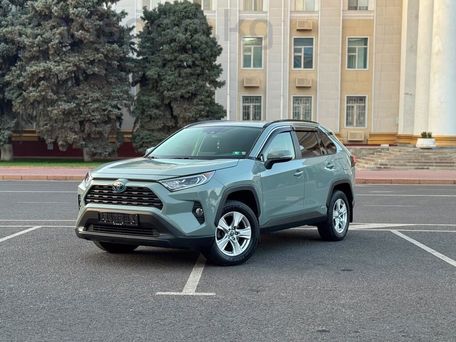 Toyota RAV4, 2019