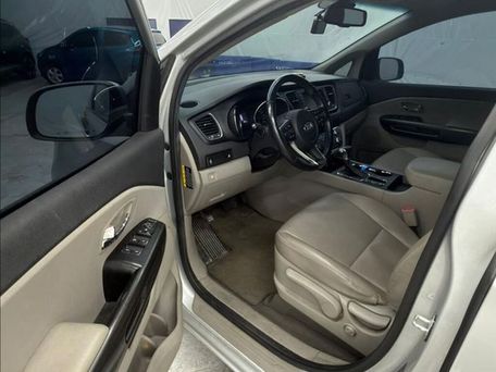 Kia Carnival, 2020 — фото 13