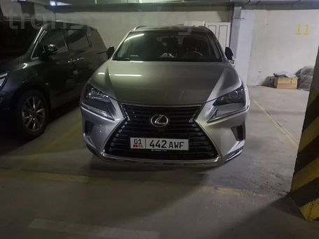 Lexus NX, 2019 — фото 1