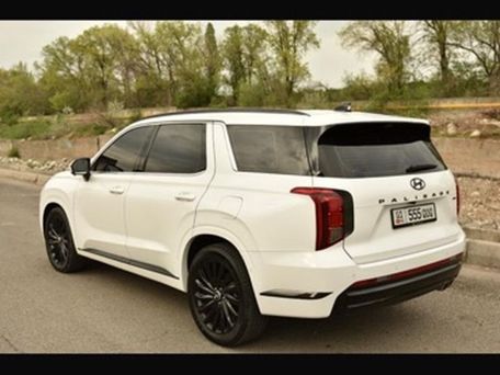 Hyundai Palisade, 2023 — photo 9