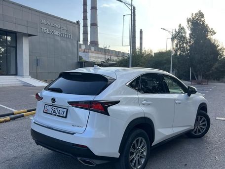 Lexus NX, 2019 — сүрөт 3