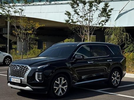 Hyundai Palisade, 2020 — фото 2