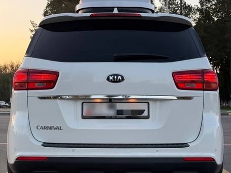 Kia Carnival, 2019 — фото 4