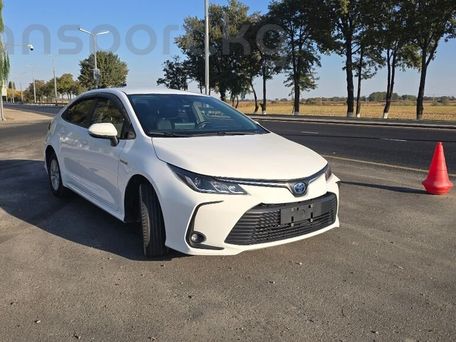 Toyota Corolla, 2022 — сүрөт 5