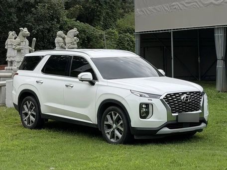 Hyundai Palisade, 2024 — фото 2