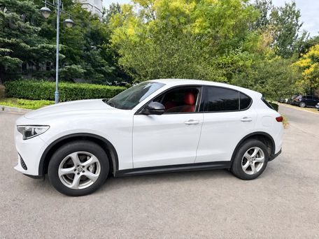 Alfa Romeo Stelvio, 2019 — сүрөт 3