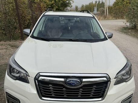 Subaru Forester, 2019 — photo 1