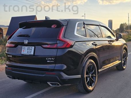 Honda CR-V, 2024 — сүрөт 6