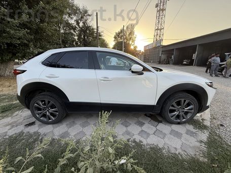 Mazda CX-30, 2021 — фото 8