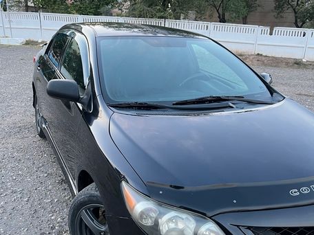 Toyota Corolla, 2011 — 照片 7