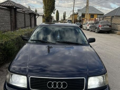 Audi 100, 1992 — 照片 13