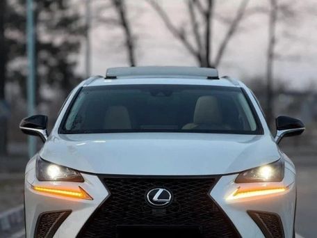 Lexus NX, 2021 — фото 1