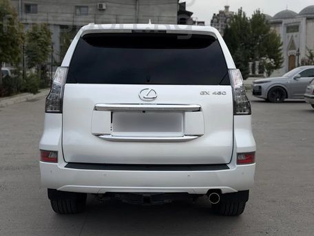 Lexus GX, 2023 — фото 5