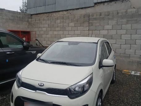Kia Morning, 2019