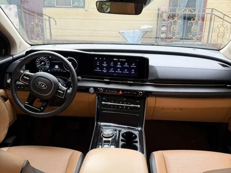 Kia Carnival, 2020 — фото 12