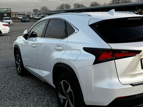 Lexus NX, 2018 — фото 2