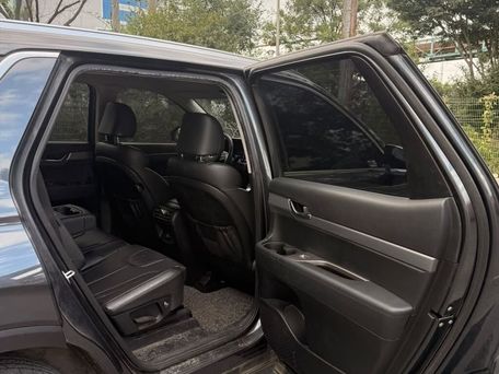 Hyundai Palisade, 2020 — сүрөт 13