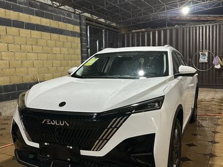 Dongfeng Aeolus Haohan, 2025 — photo 8