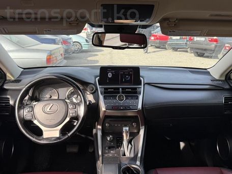 Lexus NX, 2017 — photo 11
