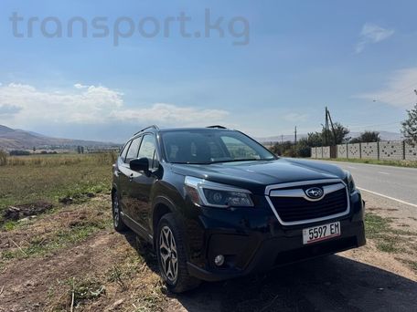 Subaru Forester, 2020 — 照片 2