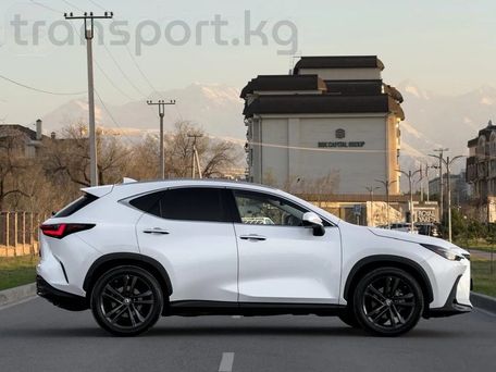 Lexus NX, 2023 — сүрөт 8