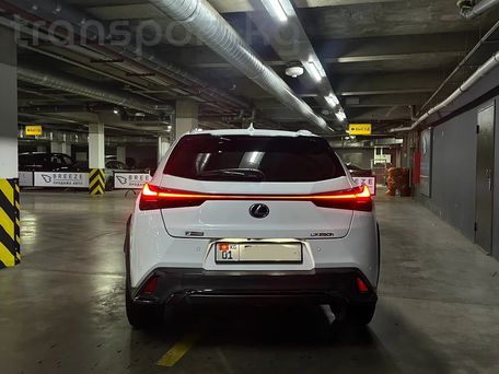 Lexus UX, 2019 — photo 4