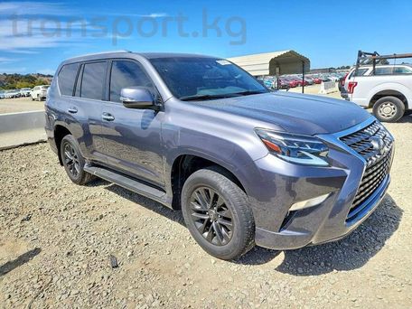 Lexus GX, 2023 — фото 2