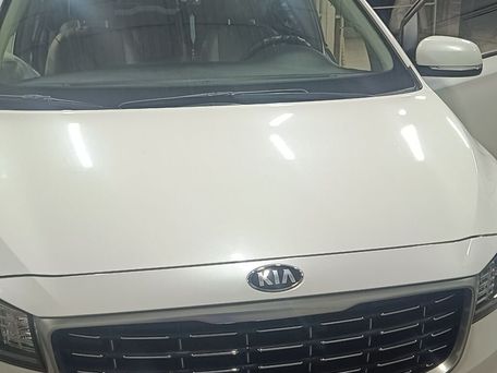 Kia Carnival, 2019 — фото 1