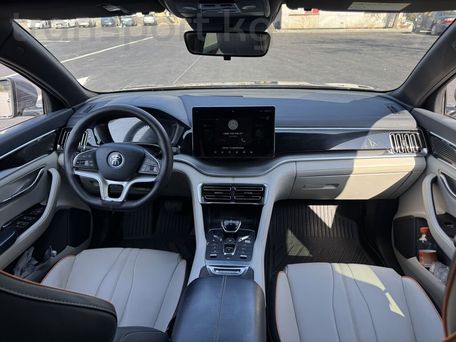 BYD Song Plus, 2022 — сүрөт 13