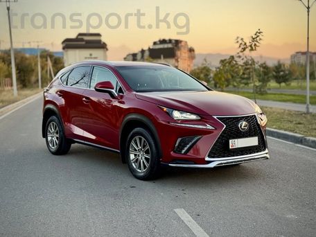 Lexus NX, 2016 — photo 2