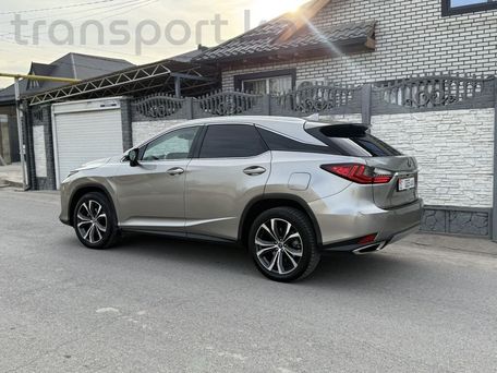 Lexus RX, 2022 — photo 4