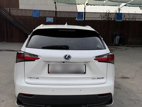 Lexus NX, 2017 — 照片 5