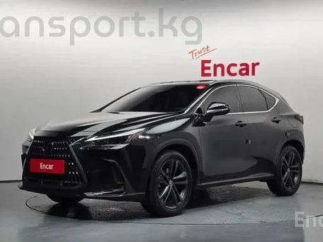 Lexus NX, 2024