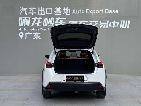 Lexus UX, 2022 — сүрөт 6