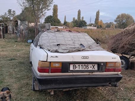 Audi 100, 1989 — photo 1