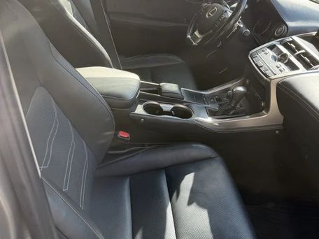 Lexus NX, 2019 — photo 10