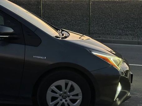 Toyota Prius, 2018 — фото 9