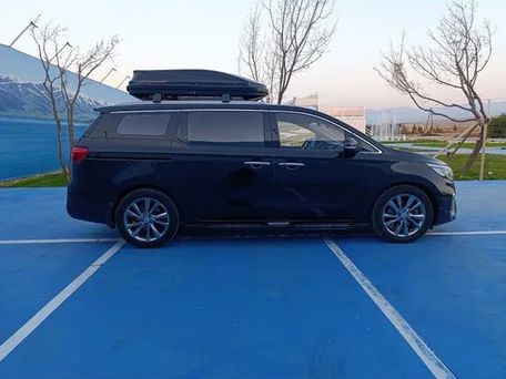 Kia Carnival, 2019 — фото 12