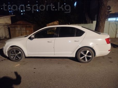 Skoda Octavia, 2016 — фото 1