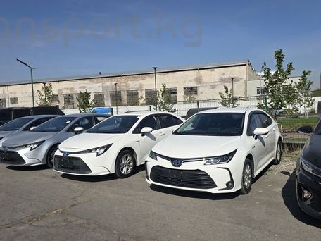 Toyota Corolla, 2022 — 照片 1