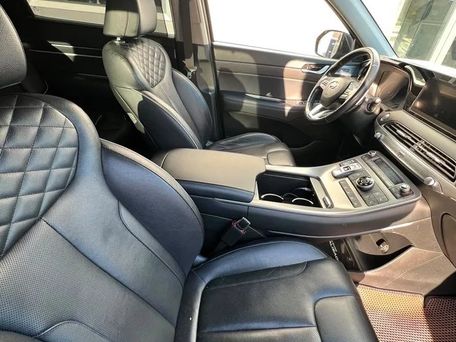 Hyundai Palisade, 2020 — photo 11