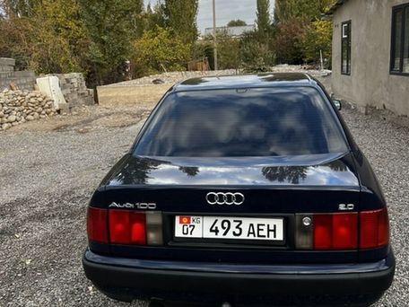 Audi 100, 1992 — 照片 10